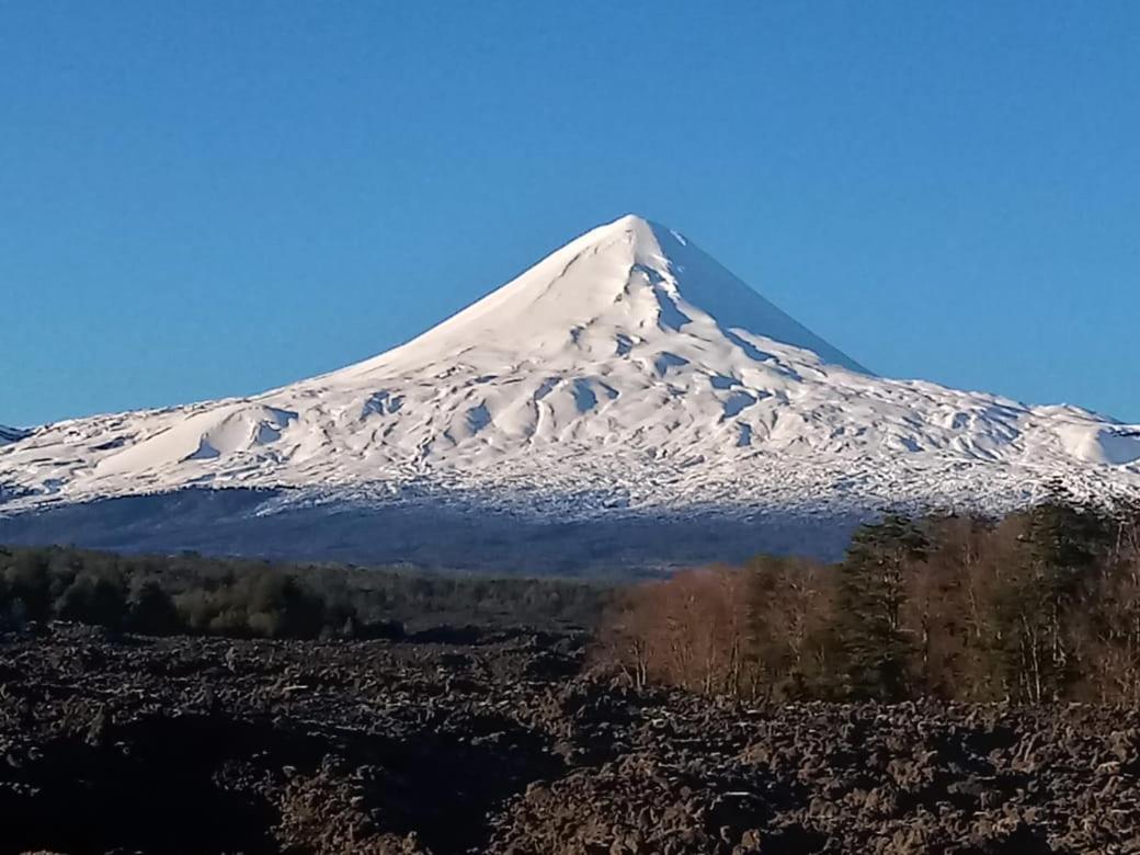 El Rincon De La Olguita Villa Curacautín Dış mekan fotoğraf