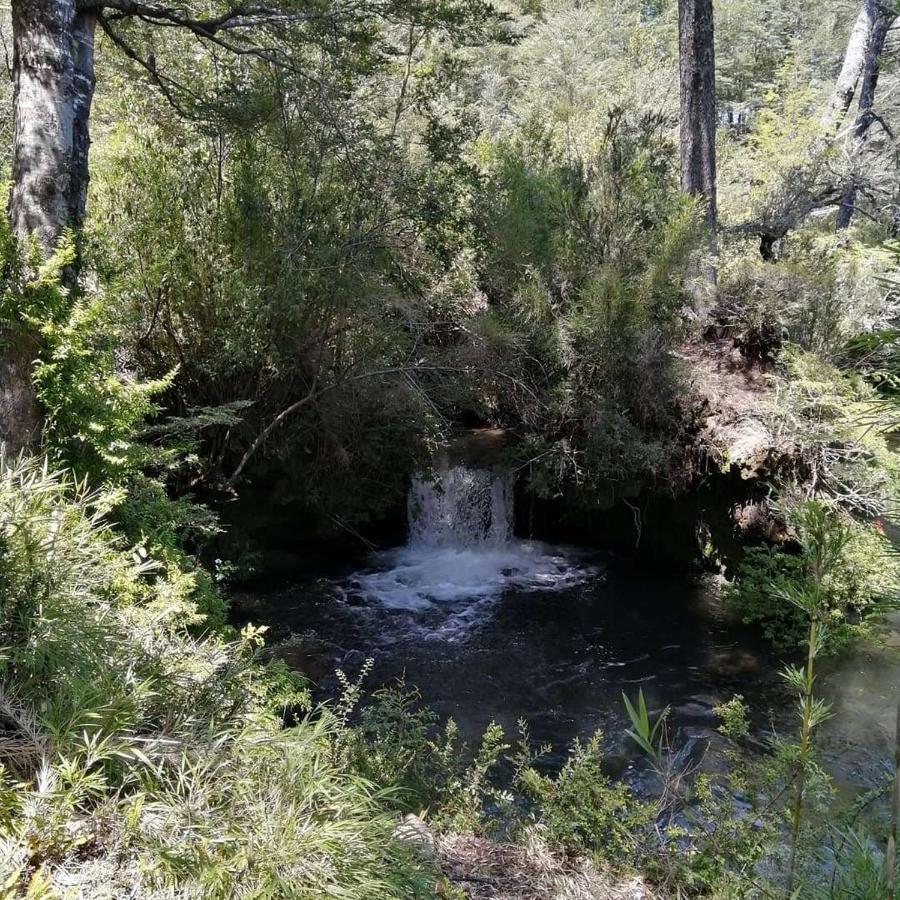 El Rincon De La Olguita Villa Curacautín Dış mekan fotoğraf